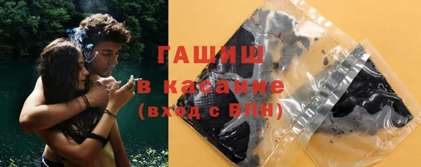 мдпв Гусев