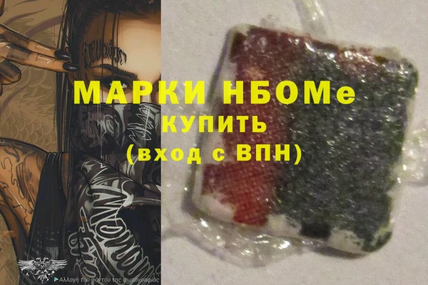 мдпв Гусев