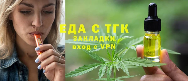 мдпв Гусев