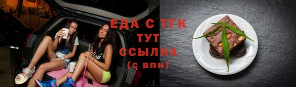 мдпв Гусев
