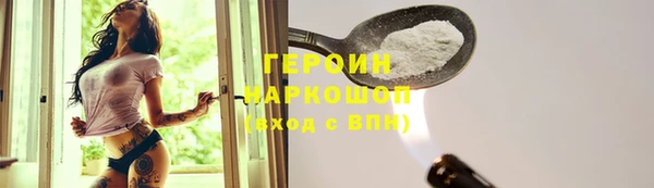 мдпв Гусев