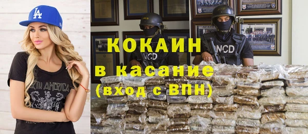 мдпв Гусев