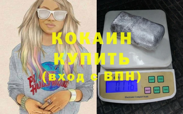 мдпв Гусев