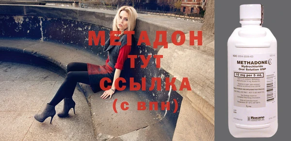 мдпв Гусев