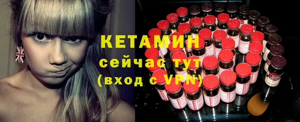 мдпв Гусев